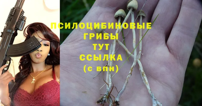 Псилоцибиновые грибы MAGIC MUSHROOMS  Конаково 